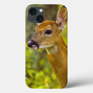 白い魚、モンタナ、米国のオジロ鹿シカの子鹿 iPhone 13ケース