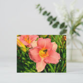 白い鮮やか花 ポストカード (スタンド正面)