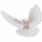 白い鳥 シール (正面)