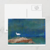 白い鳥 ポストカード (正面/裏面)