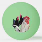 「白い鶏と黒い鶏」 卓球ボール (正面)