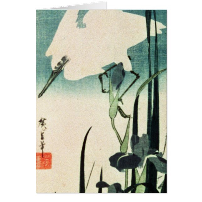 白い鷲およびアイリス (正面)