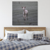 白い鹿 キャンバスプリント (インサイチュ (寝室))