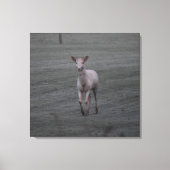 白い鹿 キャンバスプリント (正面)