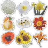 白い黄色のオレンジ色の花の品揃え シール (正面)