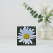 白い黄色のデイジー花のデイジー自然写真 スクエア名刺 (スタンド正面)