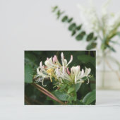 白い黄色のハニーサックルDIYはがき ポストカード (スタンド正面)