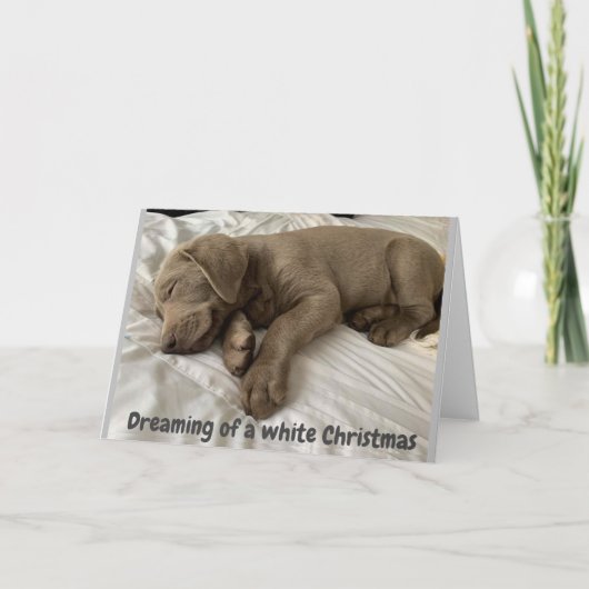 白い*クリスマス*をお客様と一緒に過ごす夢を見る シーズンカード (正面)