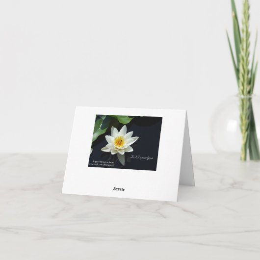 白い《植物》スイレンのギリシャの悔やみや弔慰カード カード (裏面)