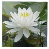 白い《植物》スイレンの野生の花 タイル (正面)