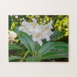 白い Rhododendron の花, アラン公園, ノーランド ジグソーパズル