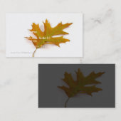 白いBacの着色された北の赤いカシの葉を選抜して下さい 名刺 (正面/裏面)