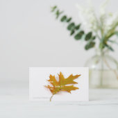 白いBacの着色された北の赤いカシの葉を選抜して下さい 名刺 (スタンド正面)