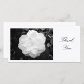 白いCamelia -ありがとう サンキューカード (正面/裏面)
