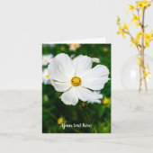 白いCosmosグリーティングカード カード (黄色い花)