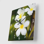 白いfrangipaniの熱帯花 スクエア壁時計 (傾斜)