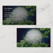 白いHaeleのlehua (Calliandraのinaequilatera)のflowe 名刺 (正面/裏面)