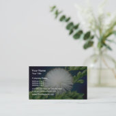 白いHaeleのlehua (Calliandraのinaequilatera)のflowe 名刺 (スタンド正面)