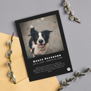 白いPawprint Pet Loss写真のお知らせ 案内状