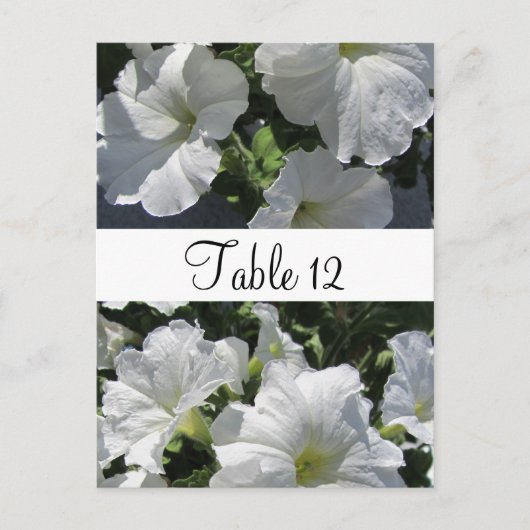 白いPetuniasテーブルのシーティングカード ポストカード (正面)