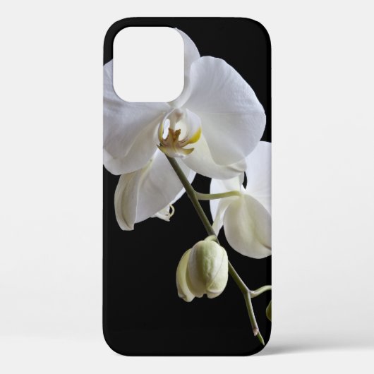 白いPhalaenopsis Orchid on Black Case-Mate iPhoneケース (裏面)