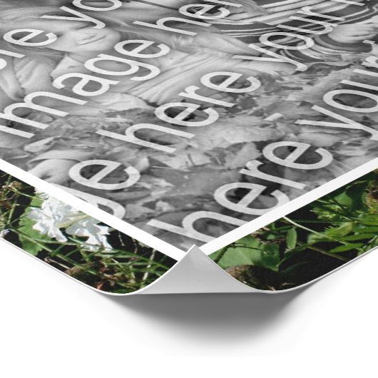 白いPhloxフラワーガーデンあなたの写真を追加 ポスター (角)