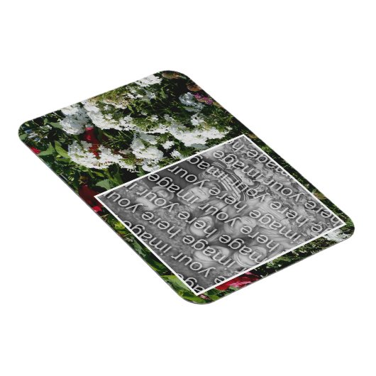 白いPhloxフラワーガーデンあなたの写真を追加 マグネット (右側)