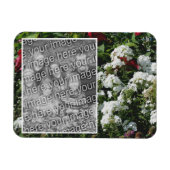 白いPhloxフラワーガーデンあなたの写真を追加 マグネット (横)