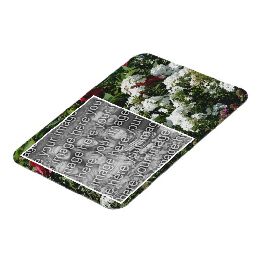 白いPhloxフラワーガーデンあなたの写真を追加 マグネット (左側)