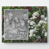 白いPhloxフラワーガーデン自分の写真を追加 フォトプラーク (正面)