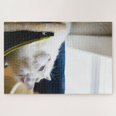 白いRagdoll猫のパズル ジグソーパズル (横)