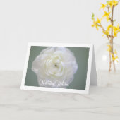 白いRanunculusの挨拶状 カード (黄色い花)