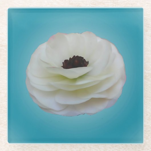 白いRanunculusの花ガラスのコースター ガラスコースター (正面)