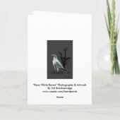 白いravenグリーティングカード カード (裏面)