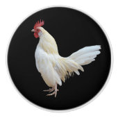 白いROOSTER* セラミックノブ (正面)