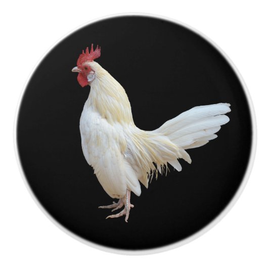 白いROOSTER* セラミックノブ (正面)