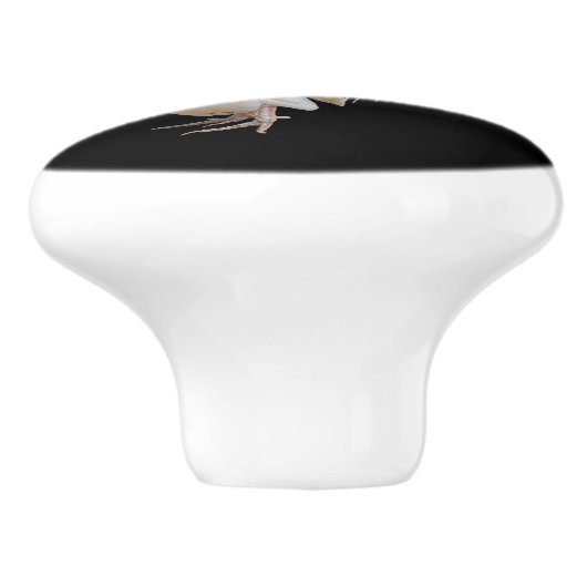 白いROOSTER* セラミックノブ (側面)