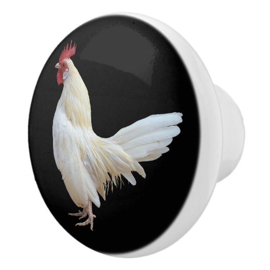 白いROOSTER* セラミックノブ (右)