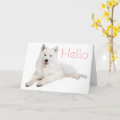 白いSamoyedの小犬-こんにちは、あなたの考えること カード (黄色い花)