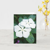 白いv2の結露 カード (黄色い花)