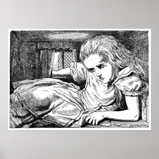 白うさぎの家のアリス ポスター (正面)