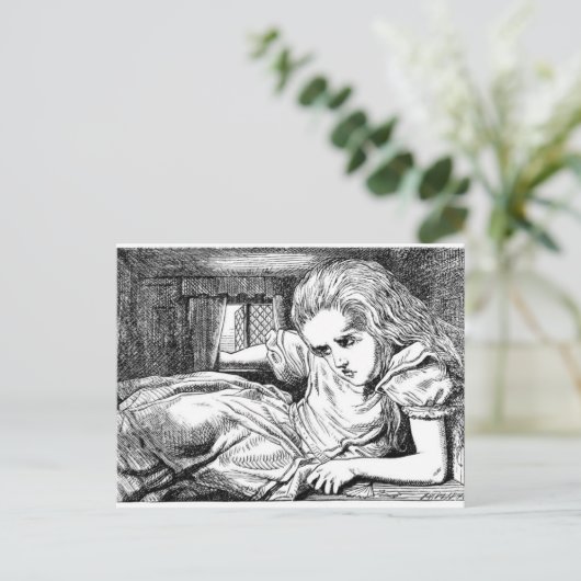 白うさぎの家のアリス ポストカード (スタンド正面)