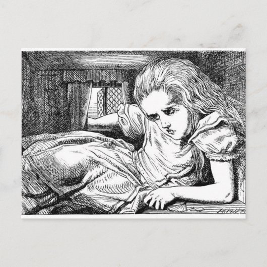 白うさぎの家のアリス ポストカード (正面)