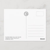 白うさぎのCC0240誕生日はがき ポストカード (裏面)