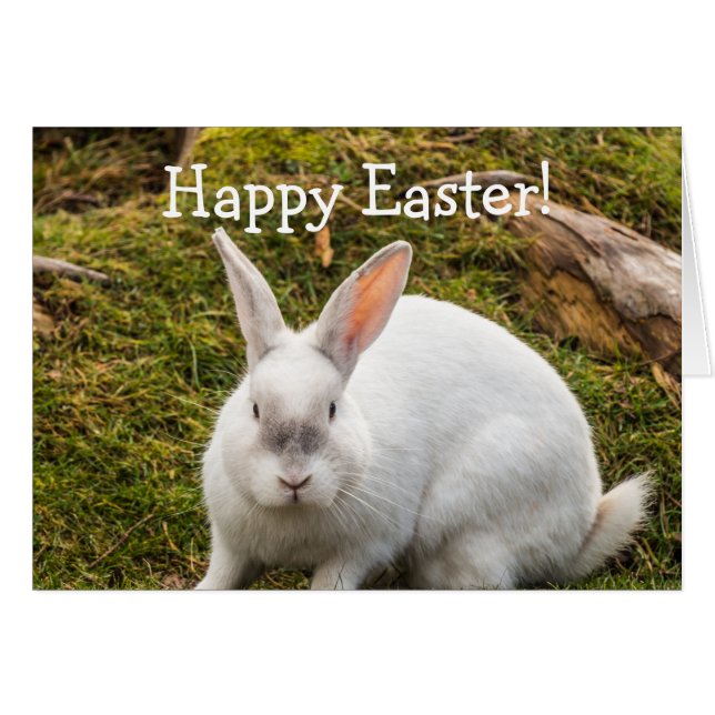 白うさぎイースター (正面横)