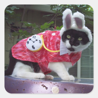 白うさぎステッカー スクエアシール