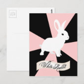 白うさぎ、ピンクと白 ポストカード (正面/裏面)