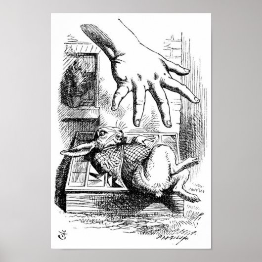 白うさぎ ポスター (正面)