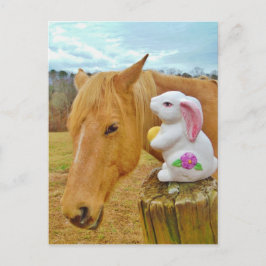 白うさぎ、金髪の黄色い馬 ポストカード