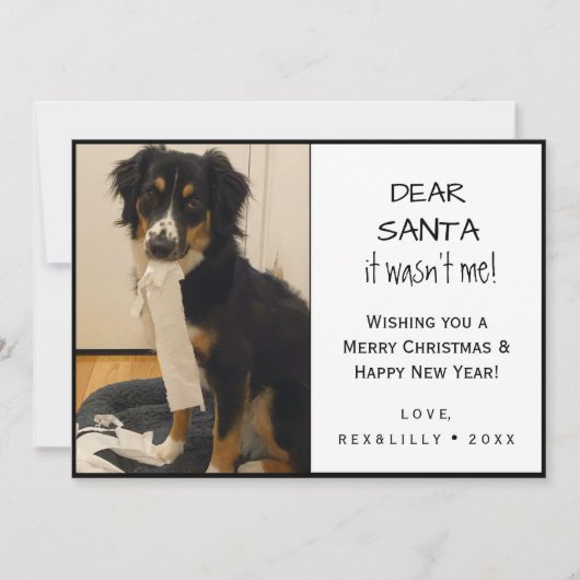 白おもしろいと黒のペットの足跡 シーズンカード (正面)